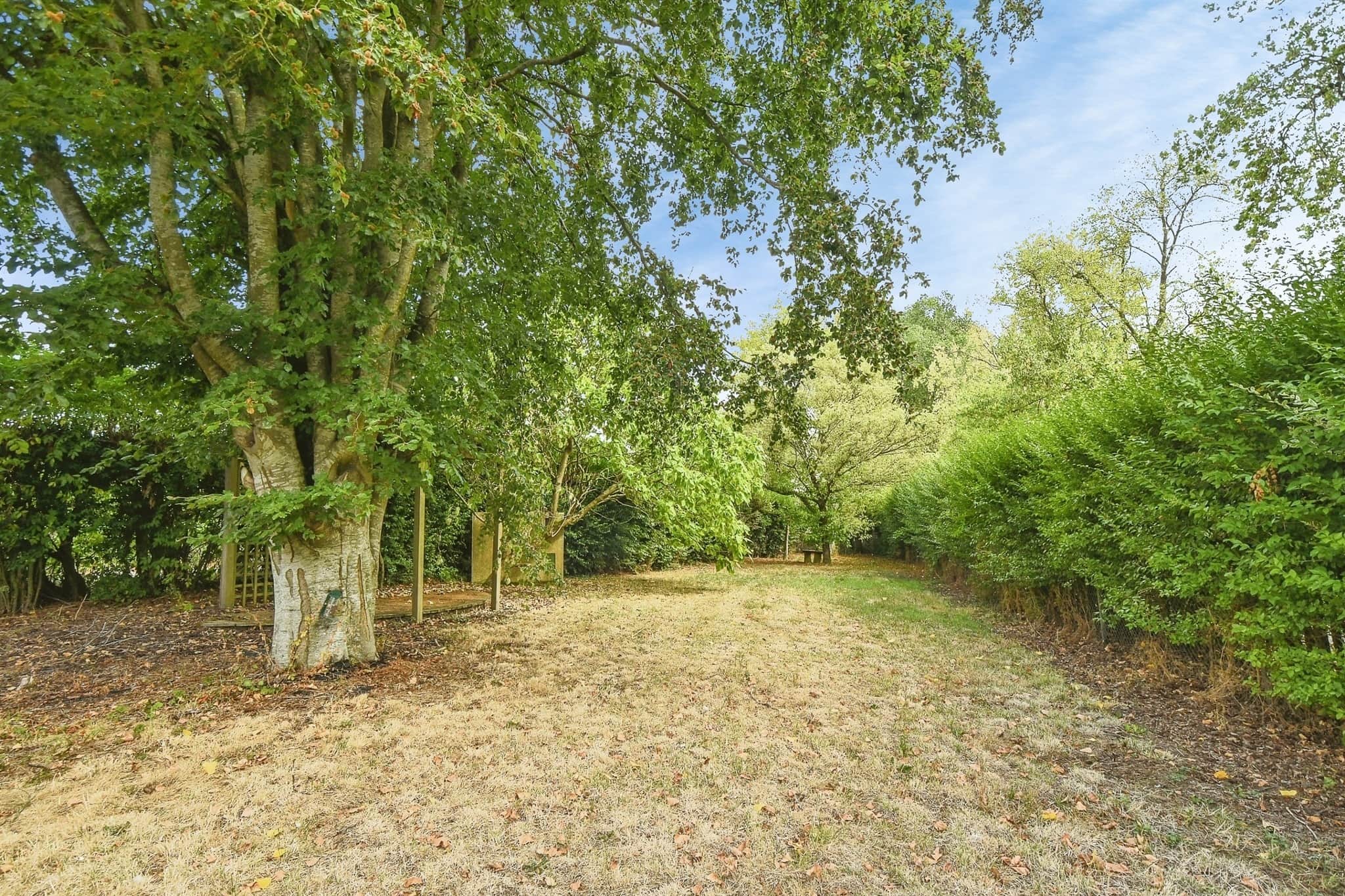 Property photo 22
